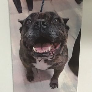 Meet your Posher, Dave